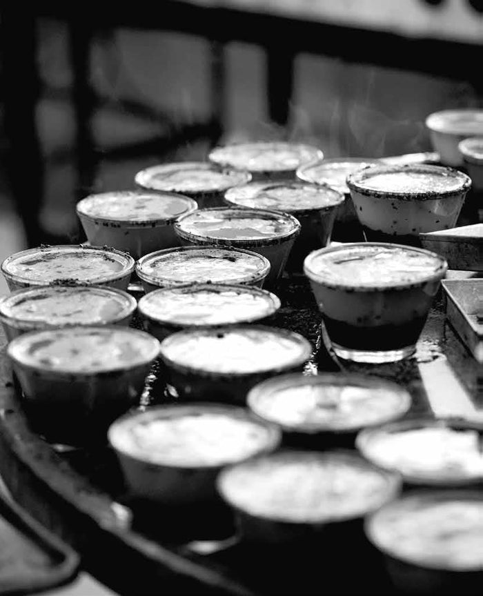 Coffee Cupping
