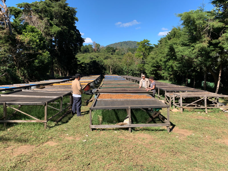 2. Ahuachapán regio